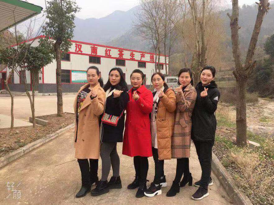 “三八妇女节”汉南茶业齐欢聚