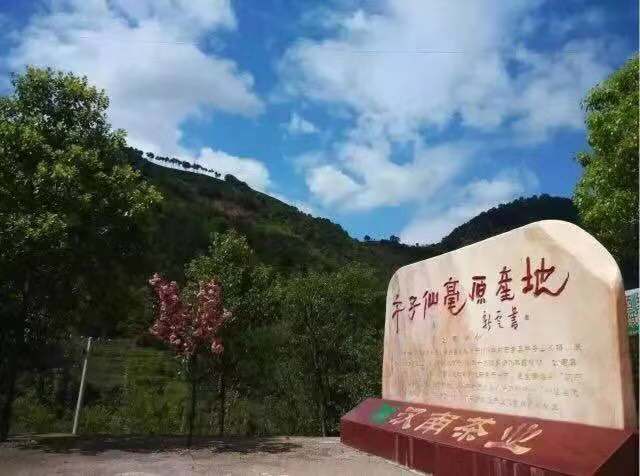 午子山农家乐3月8日正式对外营业